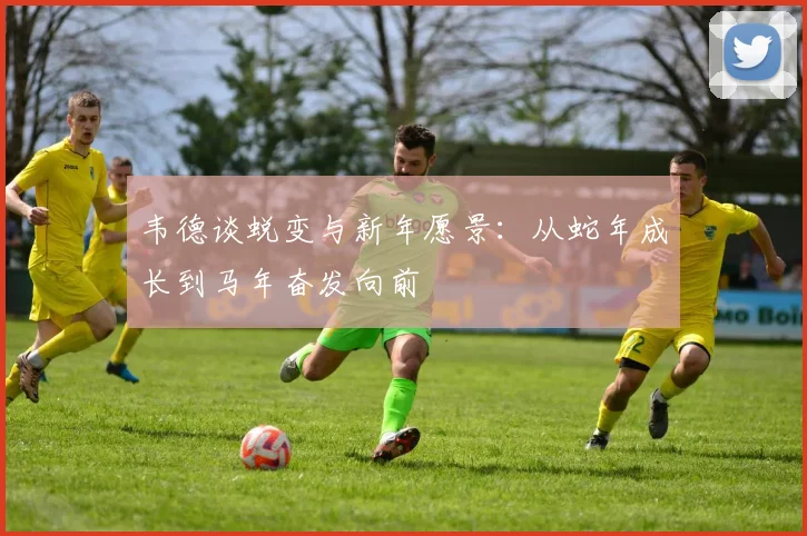 韦德谈蜕变与新年愿景：从蛇年成长到马年奋发向前