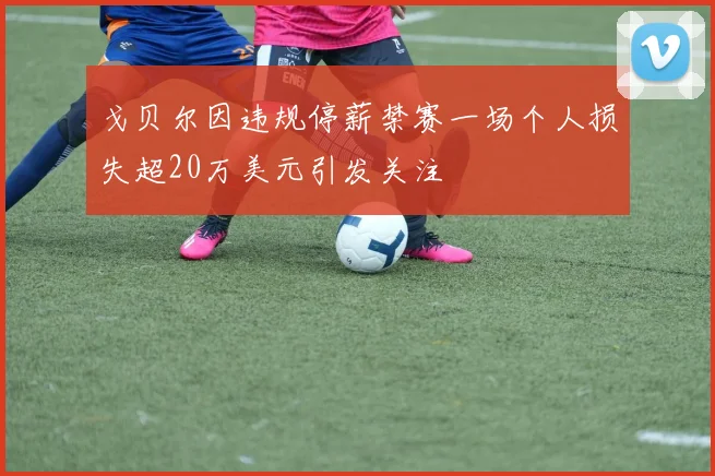 戈贝尔因违规停薪禁赛一场个人损失超20万美元引发关注