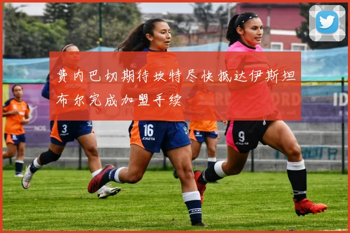 费内巴切期待坎特尽快抵达伊斯坦布尔完成加盟手续